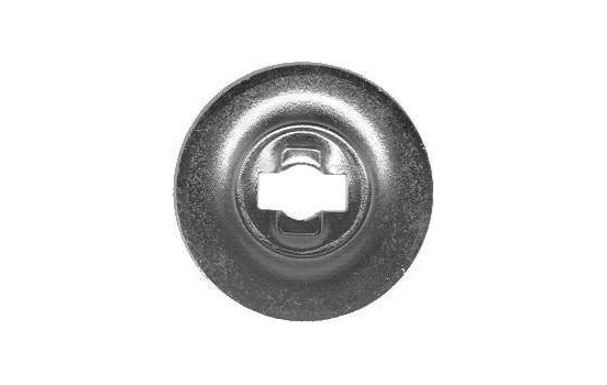 Spring, brake shoe