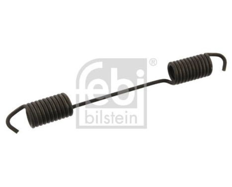 Spring, brake shoe