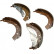 Brake Shoe Kit 8803 ABS