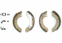 Brake Shoe Set