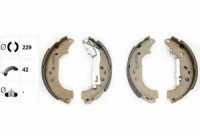 Brake Shoe Set