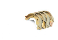 Brake shoe set