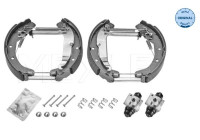 Brake shoe set