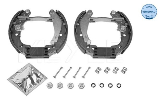 Brake shoe set