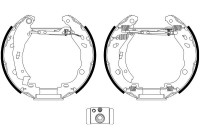 Brake shoe set