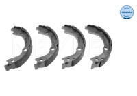 Brake shoe set