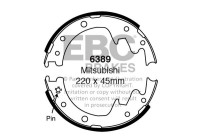 Brake shoe set