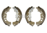brake shoe set