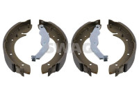 brake shoe set