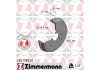 Brake Drum COAT Z