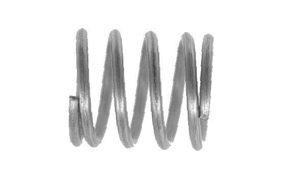 Spring, brake shoe