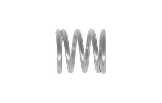 Spring, brake shoe