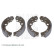 Brake Shoe Set ADH24114 Blue Print, Thumbnail 2