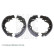 Brake Shoe Set ADM54135 Blue Print, Thumbnail 2