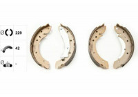 Brake Shoe Set