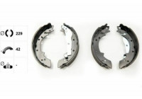 Brake Shoe Set