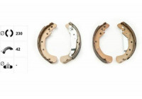 Brake Shoe Set