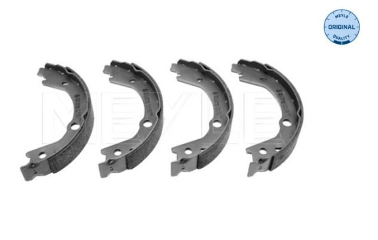 Brake shoe set