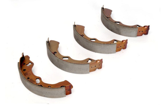 Brake shoe set