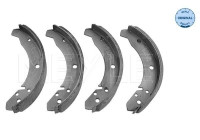 Brake shoe set