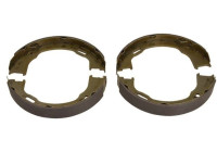 Brake Shoe