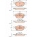 Bromsbeläggssats, skivbroms COTEC GDB3476 TRW, miniatyr 2