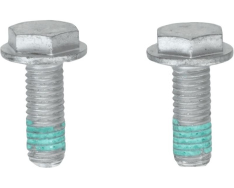 Bromsok BHN317 TRW, bild 10