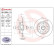 Bromsskiva 08.5954.10 Brembo, miniatyr 2