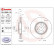 Bromsskiva 09.9895.20 Brembo, miniatyr 2