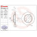 Bromsskiva 09.A250.10 Brembo, miniatyr 2