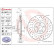 Bromsskiva 09.B970.1X Brembo, miniatyr 2