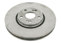 bromsskiva 60924310 Swag