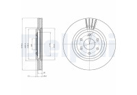Bromsskiva BG4176C Delphi