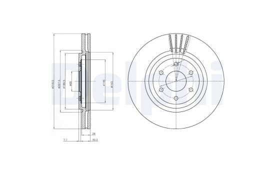 Bromsskiva BG4176C Delphi