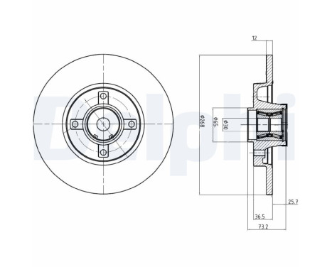 Bromsskiva BG9053RSC Delphi