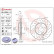 Bromsskiva BREMBO XTRA LINE 09.8304.1X, miniatyr 3