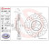 Bromsskiva BREMBO XTRA LINE 09.8841.3X, miniatyr 2