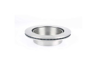 Bromsskiva BSG 16-210-004