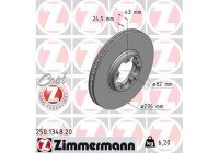 Bromsskiva COAT Z 250.1348.20 Zimmermann