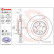 Bromsskiva COATED DISC LINE 09.B503.11 Brembo, miniatyr 2