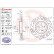 Bromsskiva COATED DISC LINE 09.B879.11 Brembo, miniatyr 3