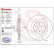 Bromsskiva COATED DISC LINE 09.D424.11 Brembo