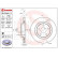 Bromsskiva COATED DISC LINE 09.D444.11 Brembo