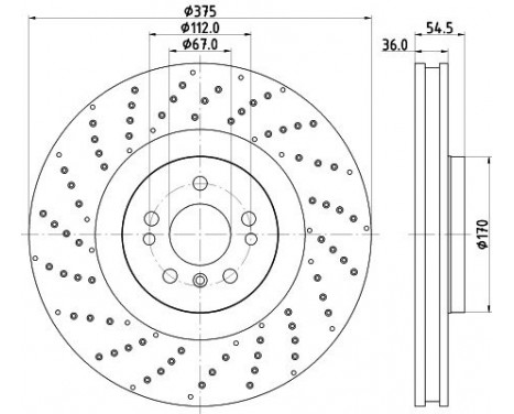 Bromsskiva PRO High Carbon 8DD 355 125-041 Hella