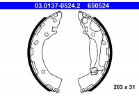 Bromsbackar, sats 03.0137-0524.2 ATE