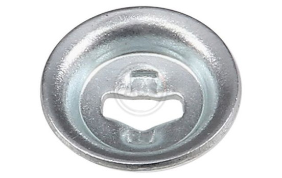 Fjäfer, bromsback, bild 2