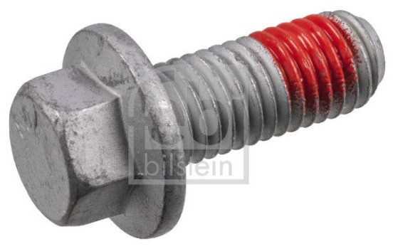 Skruv, bromsok 182456 FEBI
