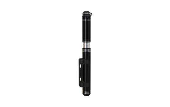 Mini Pump 24.8cm
