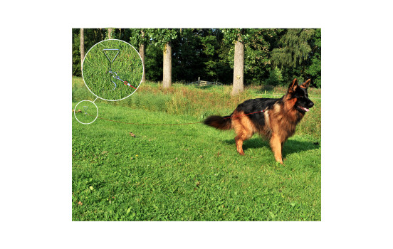 Construction spiral, Image 3