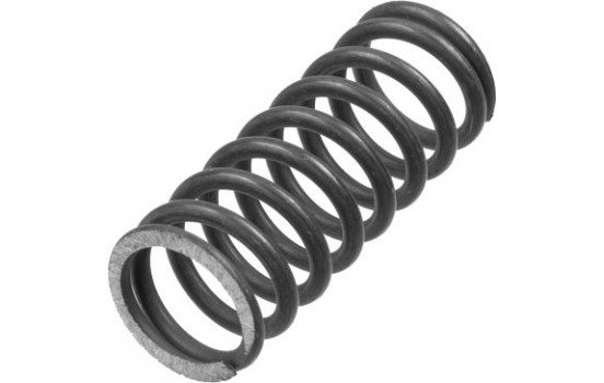 Clutch Spring Set